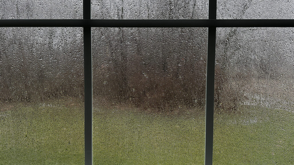 more rain and wind