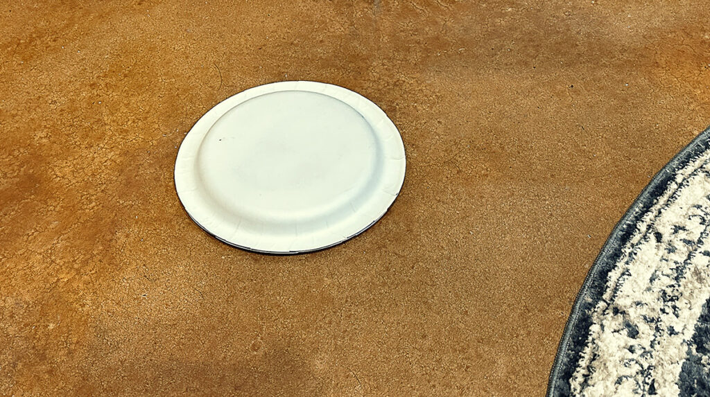 empty plate on the floor