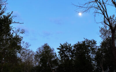 Bow to tie up reno project… check! Standing O… check!