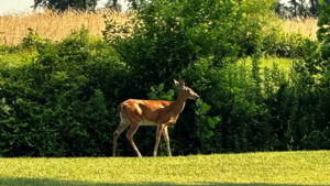 nature can be amazing... but sometimes cruel