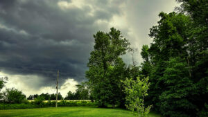 i should've skipped the pool and got a storm shelter instead
