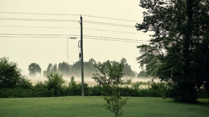 polluted air... here's what to do!