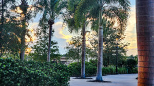 Disney parks and resorts hate smokers.