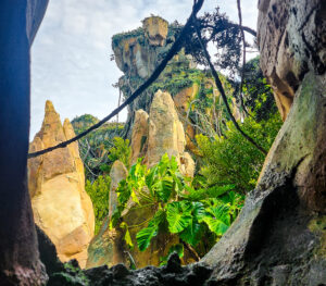 tying a bow around the 2023 conference & disney trip