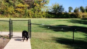 frost, yard work & no skydiving