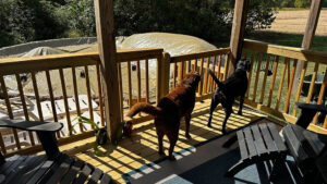 huffed and puffed and blew the pool cover off