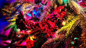 a recent study said the holiday season is the most stressful time of the year