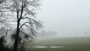 fog over field in winter