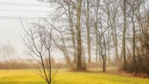 gray skies and fog in rural Indiana in winter