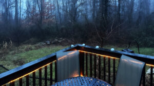 dense fog in wooded area in Indiana winter
