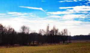 lack luster skyline in rural indiana in winter