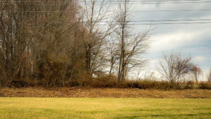 county road crew's aggressive cut-back of vegetation