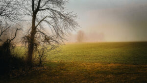 foggy morning in rural Indiana