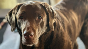 Dharma's cute face