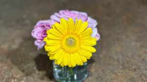 yellow daisy and pink roses