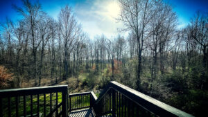 morning sunrise from deck
