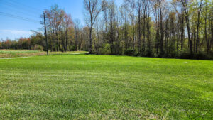 a perfect day for yardwork