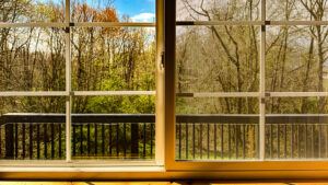 window view in rural Indiana