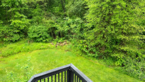home of a future garden