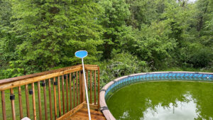 the pool is green