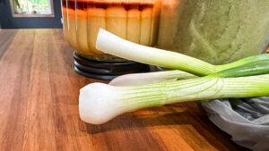 green onions fresh from the garden