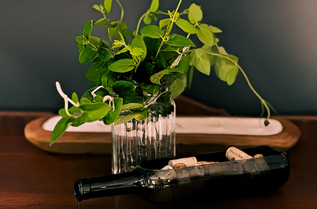 how to get a start from honeysuckle