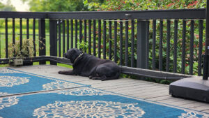 Merida enjoying the deck