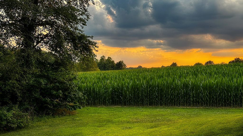 rural indiana night sky