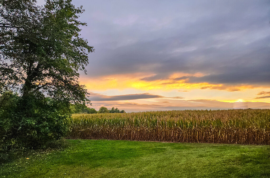 from Denmark to Louisville – what about the weather?