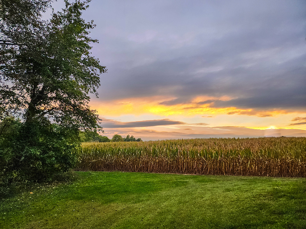 skyline before rain in Indiana