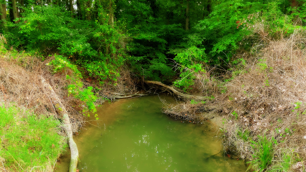 creek of Barndo Creek