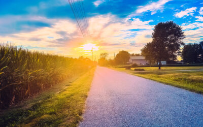 a walk down my county road