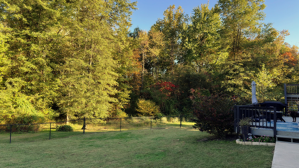 no fall colors yet at the barndo