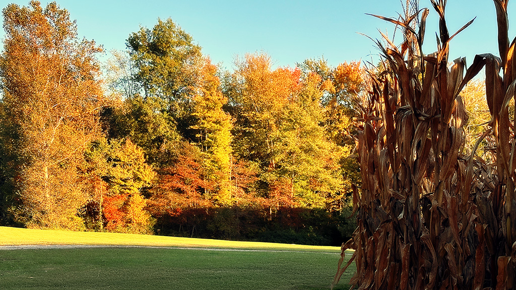 fall at the barndo