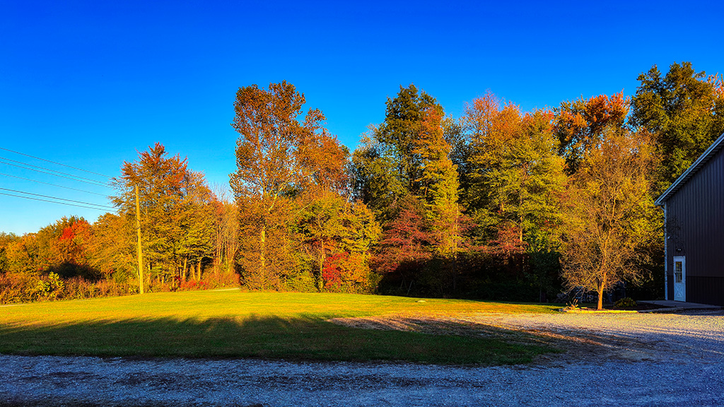 fall view at the barndo