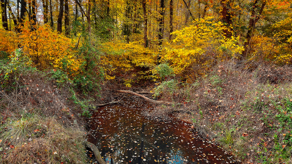 Indiana creek in the fall