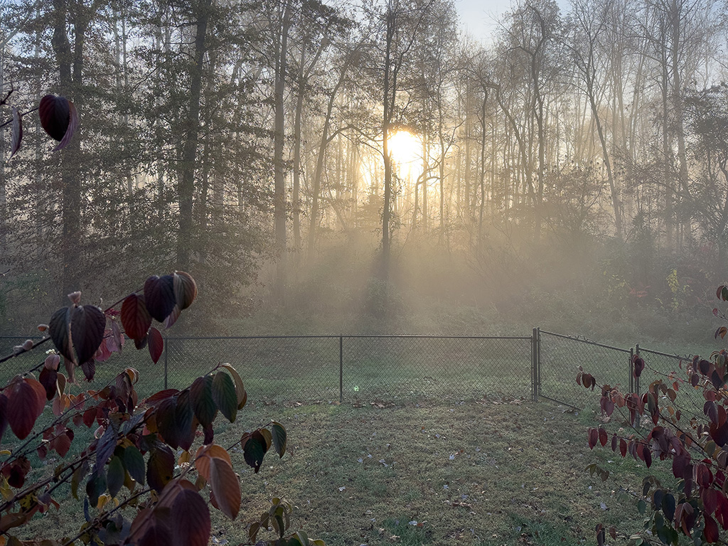 beautiful Indiana morning