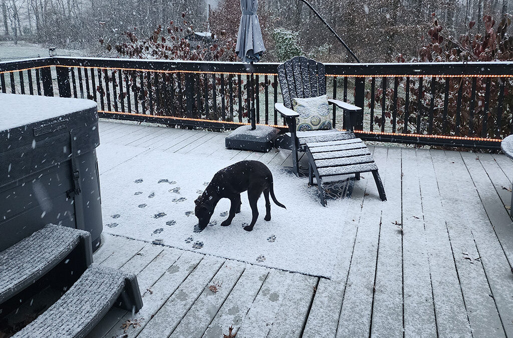 i was wrong: 1st snow of the season 11/21/24