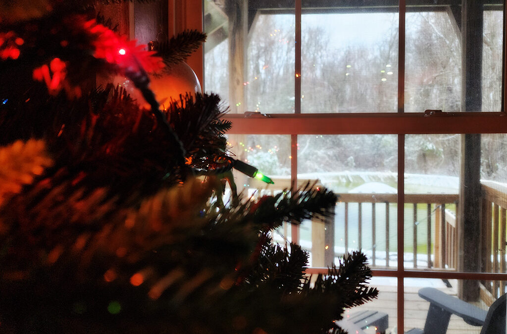 December 1 and all the leftovers are gone
