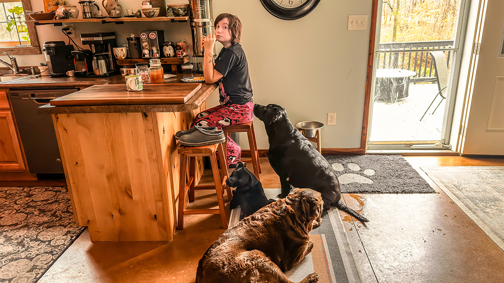 puppies want food