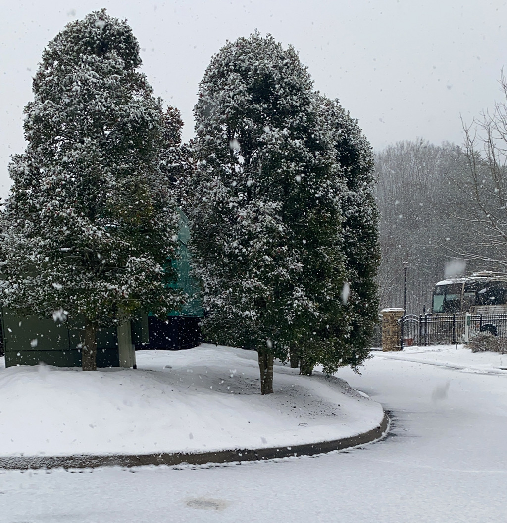 Katie's snow in Tennessee