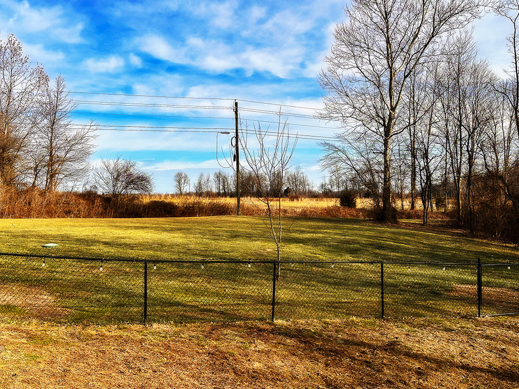 warm day in February in Indiana