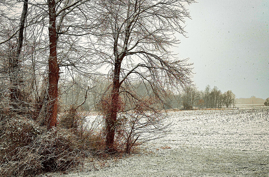 even I’ve had enough snow for the winter