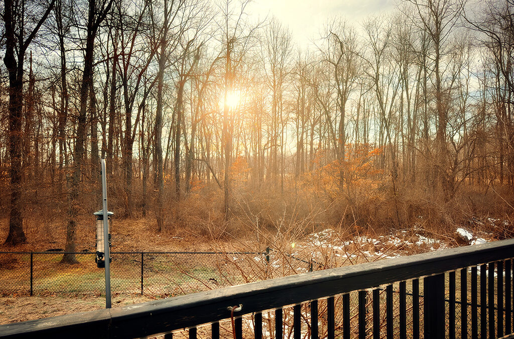 tuesday randomness on the verge of springtime
