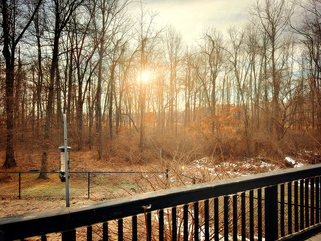 early morning in southern indiana