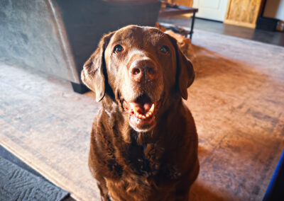 Dharma smiles: week #10