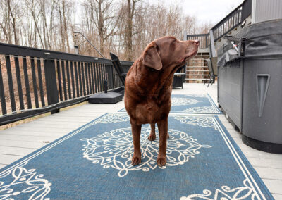 Dharma smells spring: week 11