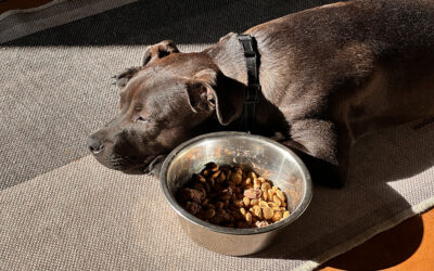 have some people lost their minds?