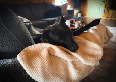 Hugo's headshot: week #14