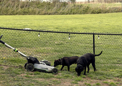 Hugo hates lawnmowers